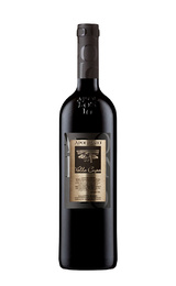 Вино Apollonio Valle Cupa 2020 0,75 л